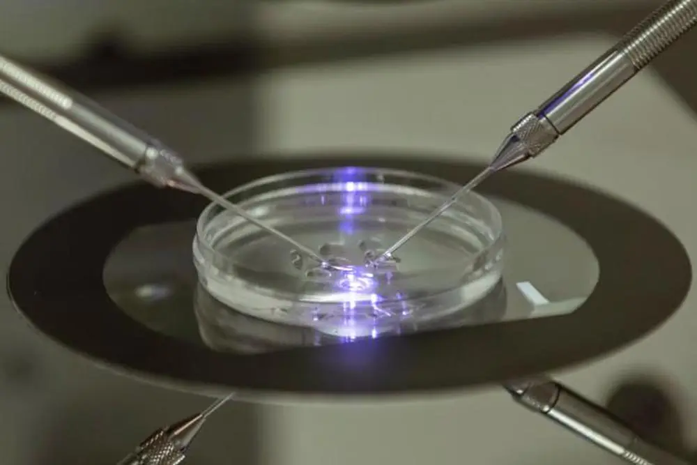 Τεχνητή Νοημοσύνη