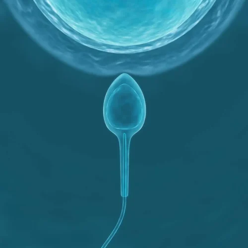 Εξωσωματική Γονιμοποίηση (IVF)